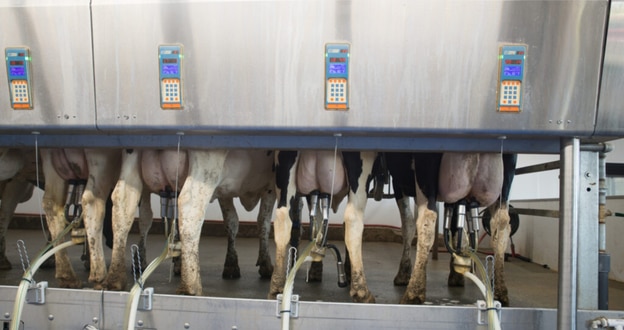 Boumatic Milking Parlor
